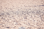 240505A-185410-07710