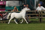 SBM_00600