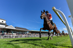 300926-Race 1-Bladey Lady-7674