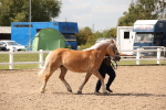 SBM_04567