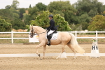 SBM_000828