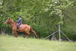 WJ6_1619