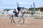 BPP_3446