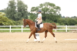 SBM_001914