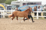 SBM_03179