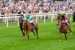 250725-Race 5-Sand Gazelle-0713