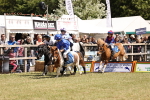 SBM_16678
