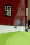 Ribeira umbrella