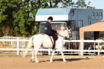 SBM_08119