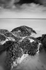 Mussels