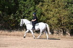 WJ6_7005