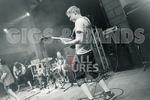 Pigsx7-108