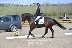 BPP_9262