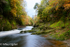 River North Esk at Grannochy, Autumn Colour 10