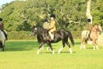 SBM_59185