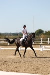 SBM_003900