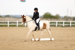 SBM_006536