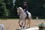 245-Neve_Moran-Clareville_golden_knight portfolio