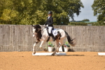 SBM_05590