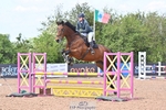 Cls 20 95cm Amateur Qualifier portfolio