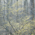 April, 2017 #12 - Norfolk County