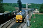 11th May 2008