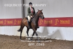 BPP_0345