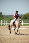 SBM_009495
