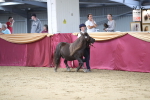 SBM_05087