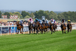120826-Race 3-Sir David-6085