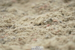 230708A-104938-00739