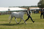SBM_00751
