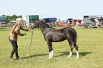 SBM_00791
