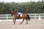 SBM_003700