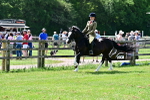 SBM_03831