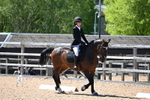 WJ6_9646