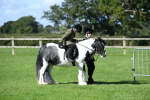 SBM_39571
