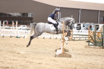 SBM_003255
