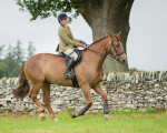 Dunblane show-667