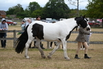WJ6_8369
