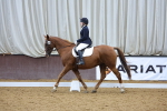 SBM_001353