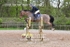 BPP_4119
