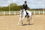 Class 4 - Novice 4 portfolio