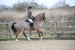 SBM_004692