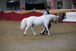 SBM_00597
