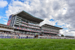 220826-Race 4-Daiquiri Bay-6125