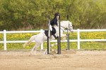 SBM_003827