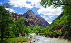 Zion National Pk.- 2011 portfolio