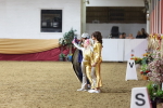 SBM_10327