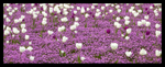 05May2013: Photo 125